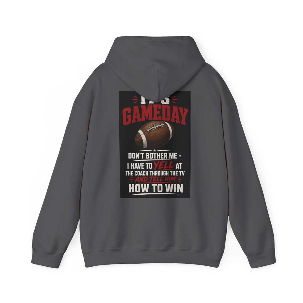 It's Gameday — Don't Bother Me, I Have to Yell at the Coach Through the TV — Funny Dad Hoodie