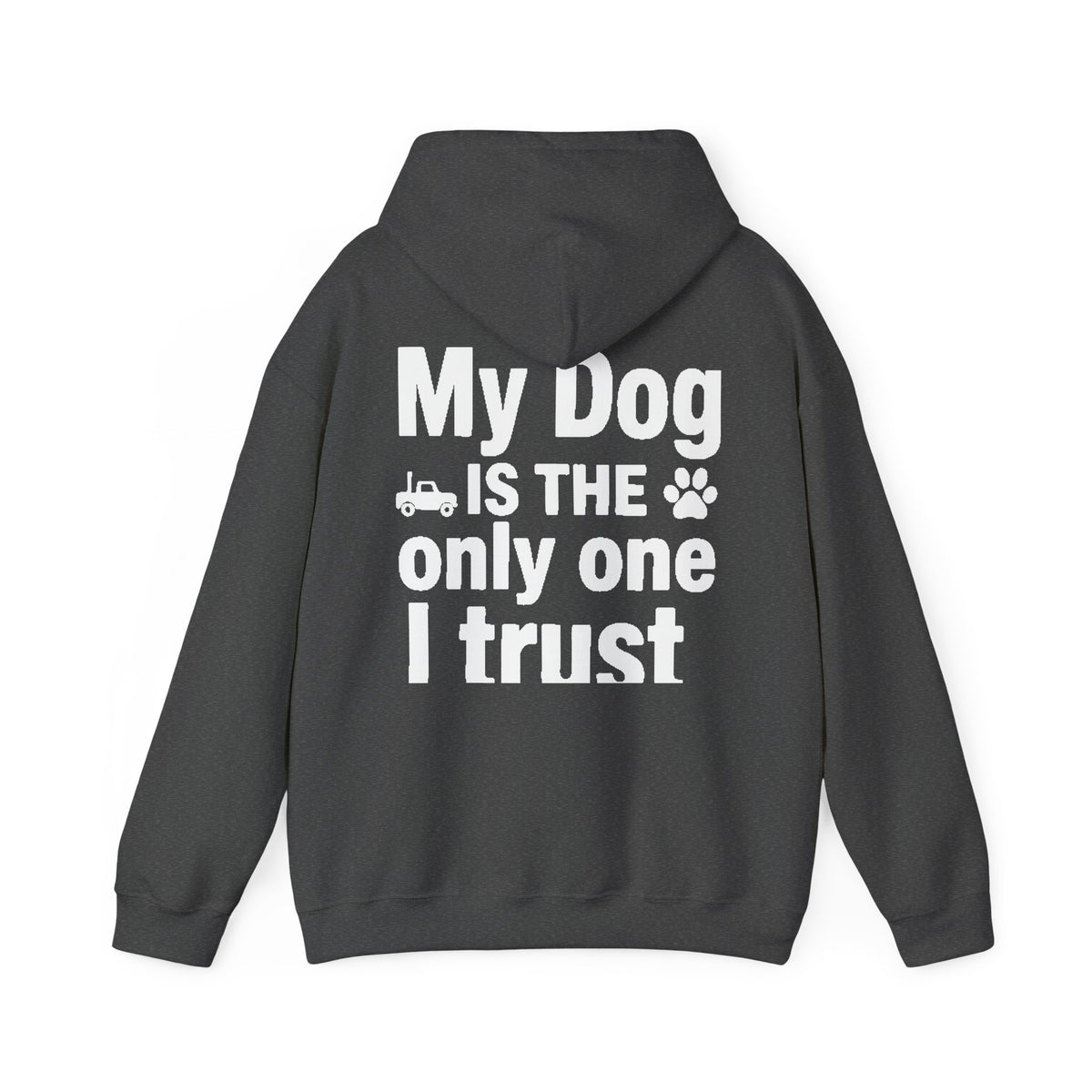 Back of shirt - main design