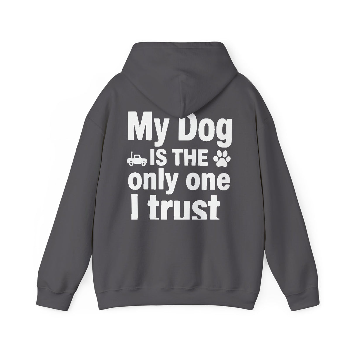 Back of shirt - main design